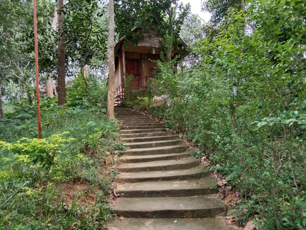 Jungle Cottage Sreemangal Exterior photo